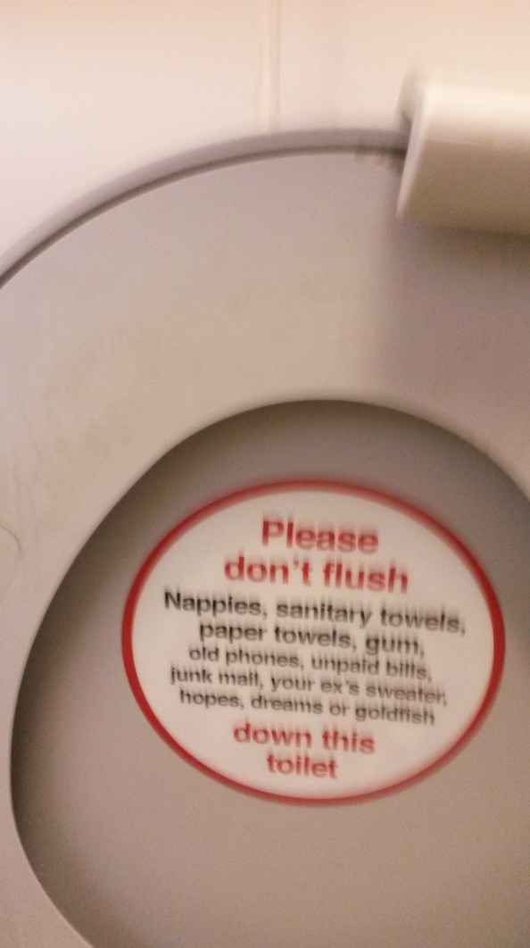 Please don't flush nappies, sanitary towels, paper towels, gum, old phones, unpaid bills, junk mail, your ex's sweater, hopes, dreams or goldfish down this toilet