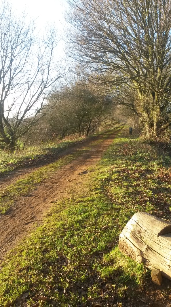 Marriot Way, Norfolk, December 2015