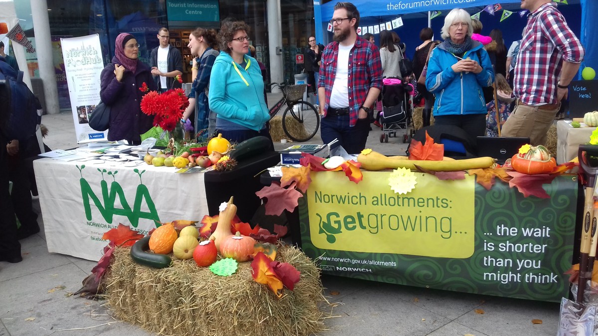 Allotment stands in Norwich