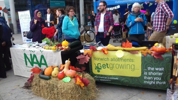 Allotment stands in Norwich